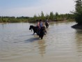 /album/pony-in-het-water/a20994148-315992018866543-5615170598951949978-n-jpg/